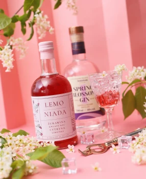 Syrop Lemoniada - żurawina, kwiat bzu, limonka 